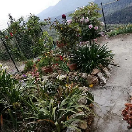 Casa In Affitto Arnasco