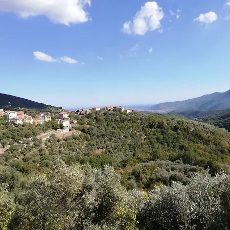 Casa In Affitto