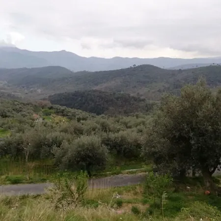 Casa In Affitto Nyaraló *