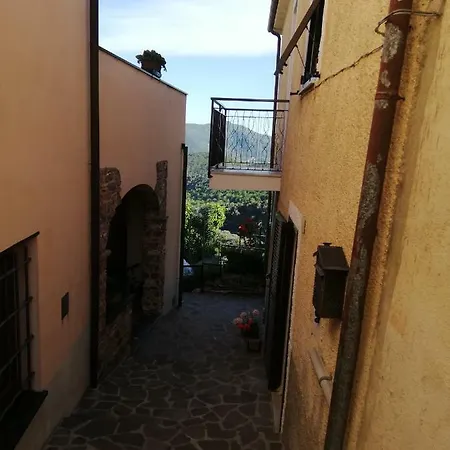 Casa In Affitto
